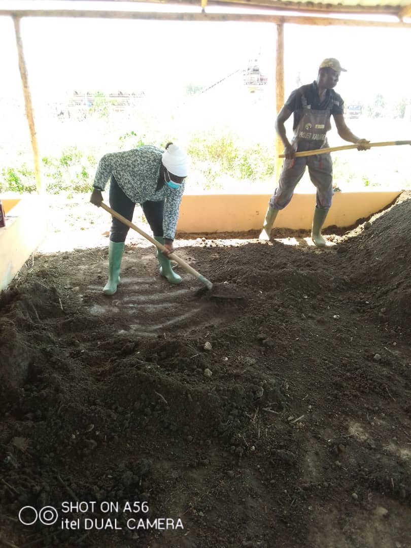 Maraîchage avec le compost FECAQSO